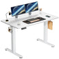 WellNest Arrangements  Electric Standing Desk – Sleek, Adjustable Sit-Stand Workspace (40x24 Inch)